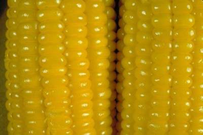 corn poster