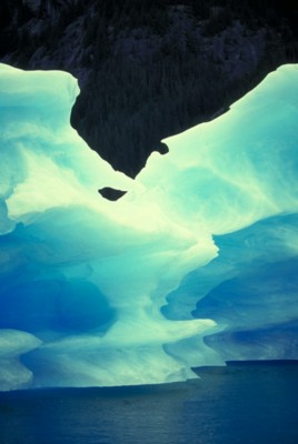 Icebergs canvas poster