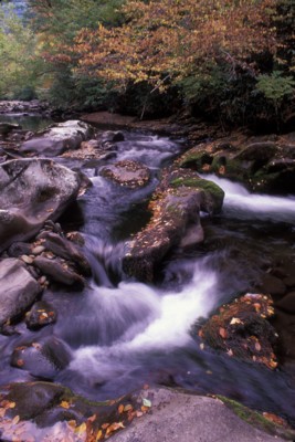 Great Smoky Mountains National Park Poster PH7847127
