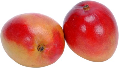 Pomegranate canvas poster