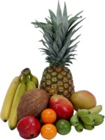 Fruits & Vegetables other Longsleeve T-shirt #248450