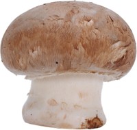 Mushroom Tank Top #248307