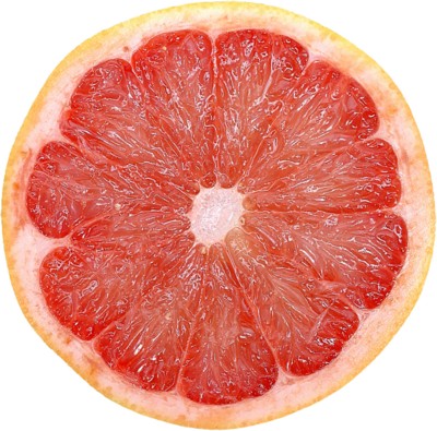Grapefruit pillow