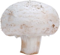 Mushroom hoodie #248306