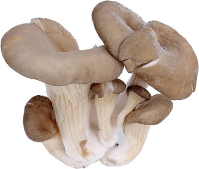 Mushroom hoodie