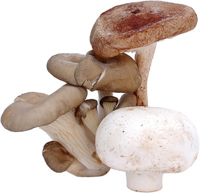 Mushroom wood print