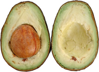 avocado mug
