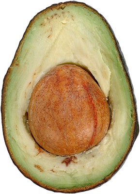 avocado wood print