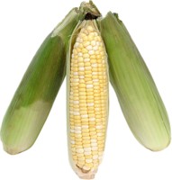 corn hoodie #248540