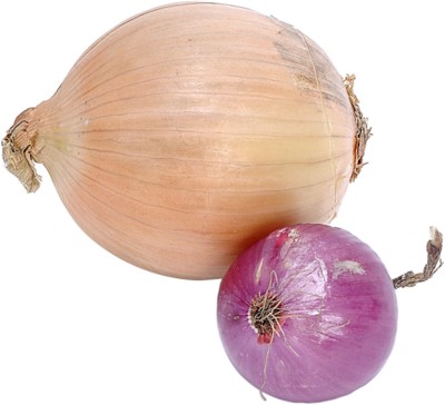 Onion mug