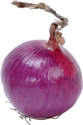 Onion canvas poster