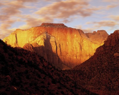 Zion National Park Poster PH9792889