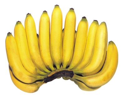 Banana canvas poster