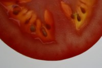 Tomato Mouse Pad PH9946113
